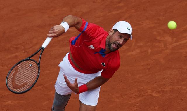 展提供了坚 展提供了坚